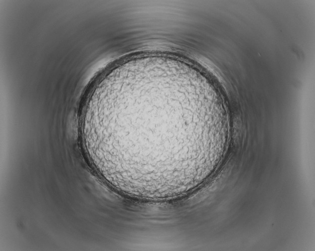 X0000111861067200908061331