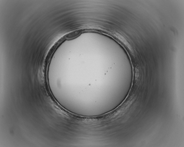 X0000111861068200908061331