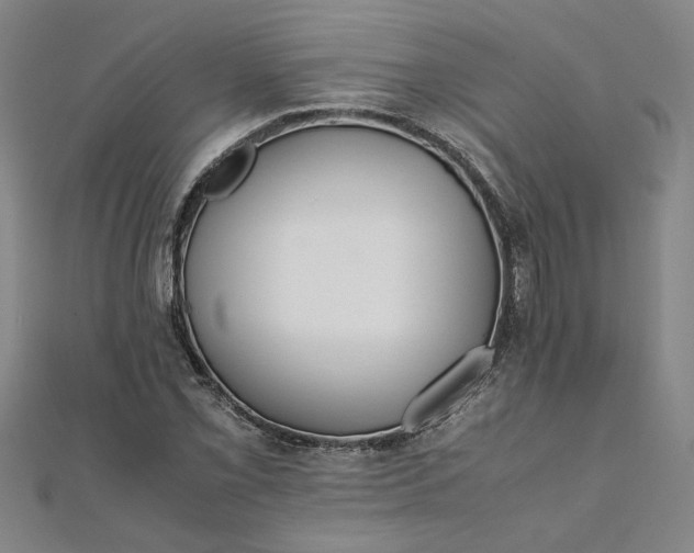 X0000111861069200908061331