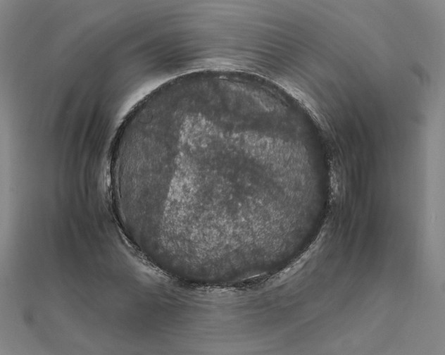 X0000111861070200908061331