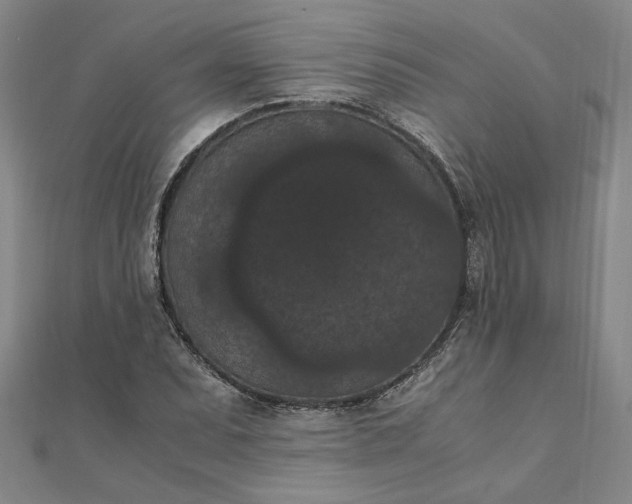 X0000111861071200908061331