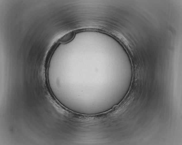 X0000111861072200908061331