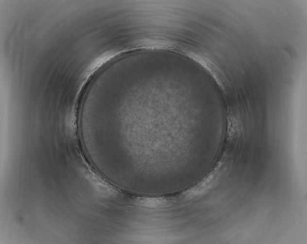 X0000111861074200908061331