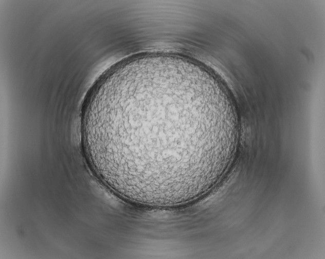 X0000111861075200908061331