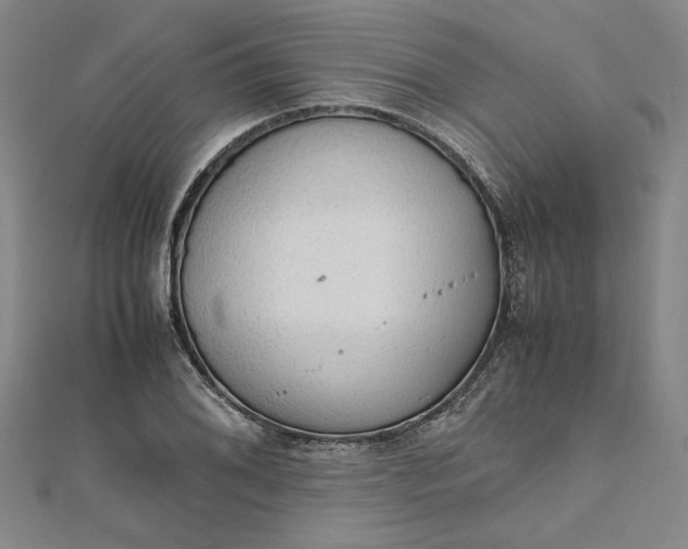 X0000111861076200908061331