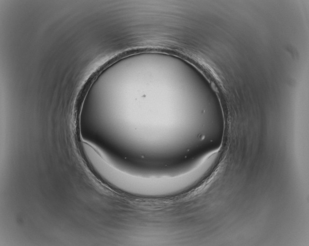 X0000111861077200908061331