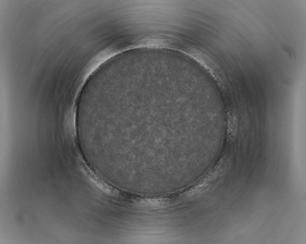 X0000111861078200908061331