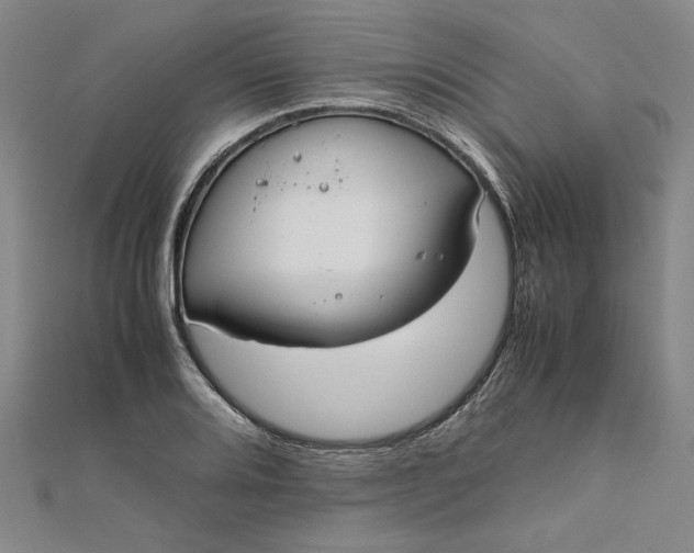 X0000111861080200908061331