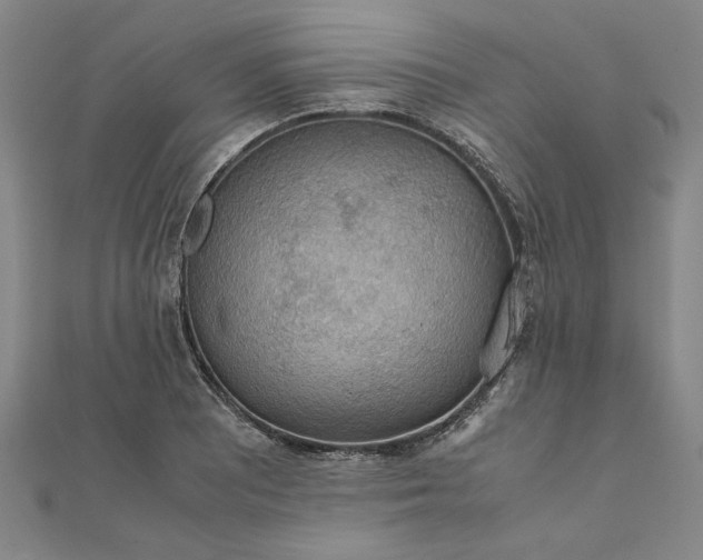 X0000111861081200908061331