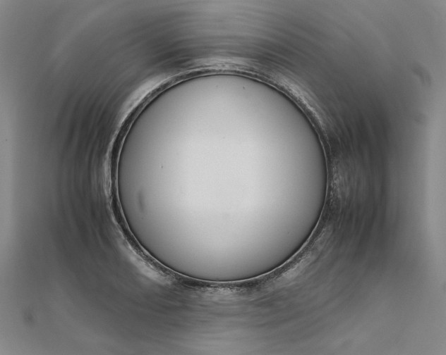 X0000111861082200908061331