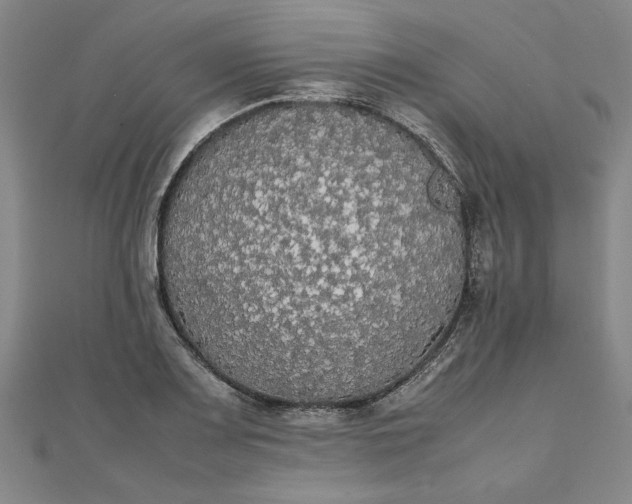 X0000111861083200908061331