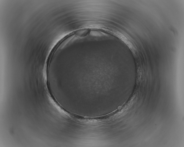 X0000111861084200908061331