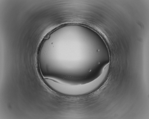 X0000111861085200908061331