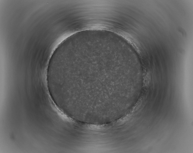 X0000111861086200908061331