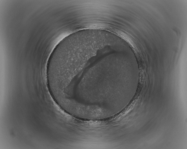 X0000111861087200908061331