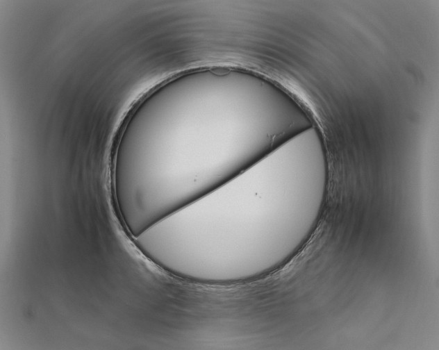 X0000111861088200908061331