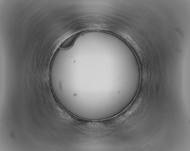 X0000111861089200908061330