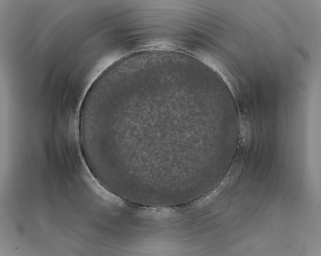 X0000111861090200908061330