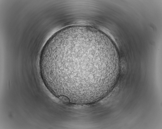 X0000111861091200908061330