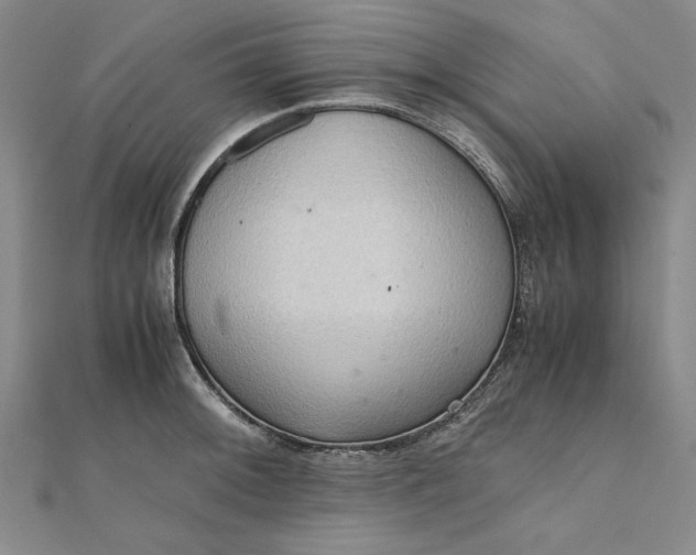 X0000111861092200908061330