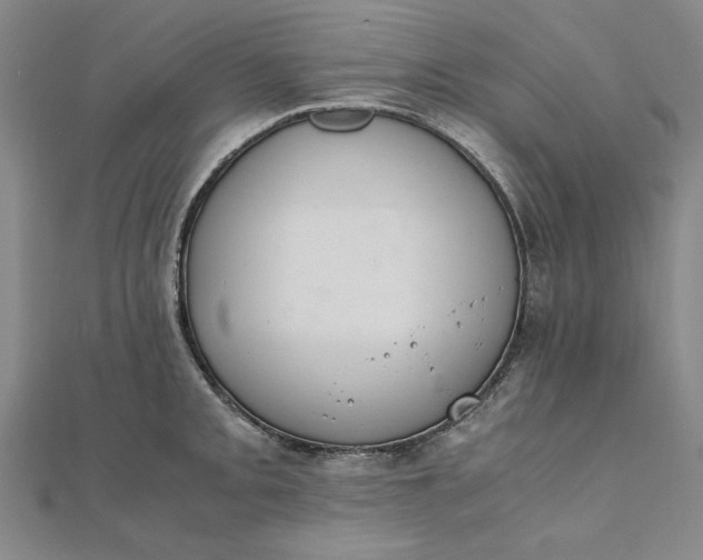 X0000111861093200908061330