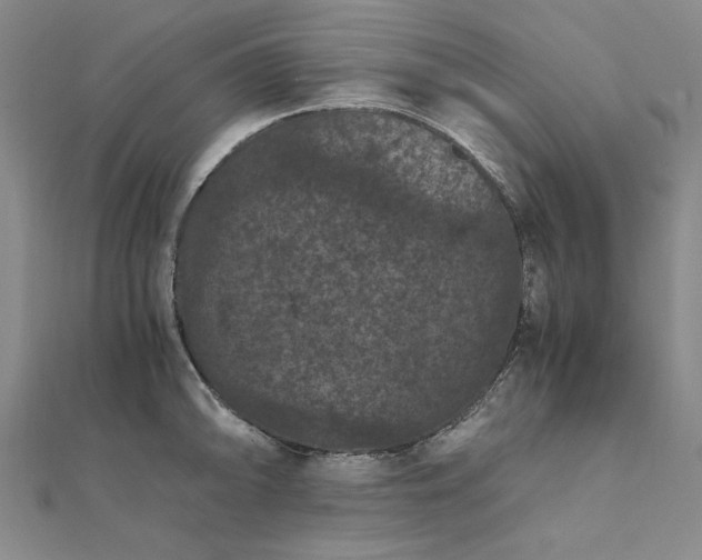 X0000111861094200908061330