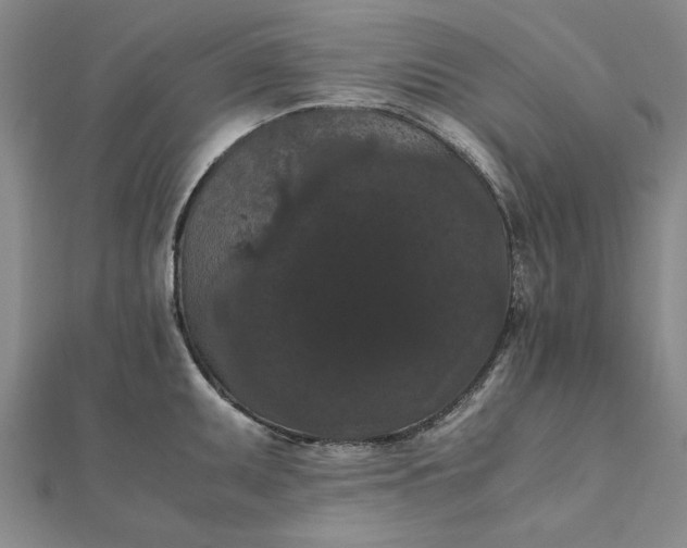 X0000111861095200908061330