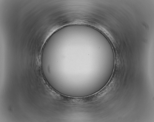 X0000111861097200908061330