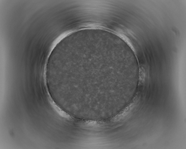 X0000111861098200908061330