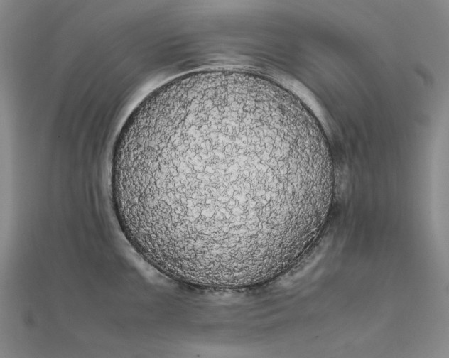 X0000111861099200908061330