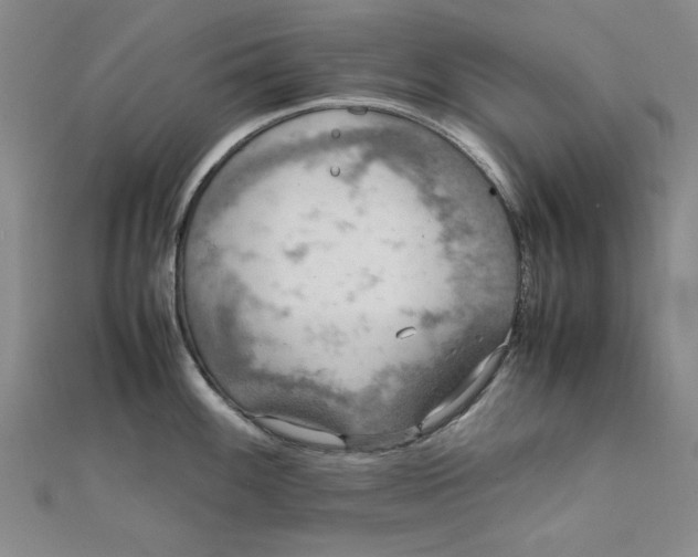 X0000111861100200908061330