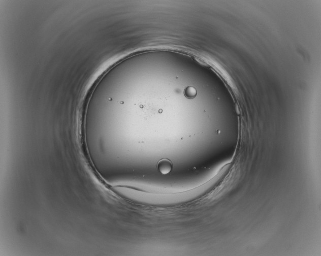 X0000111861101200908061330