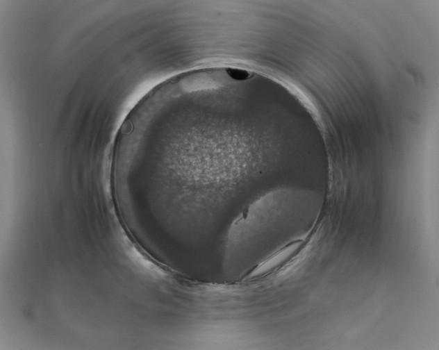 X0000111861102200908061330