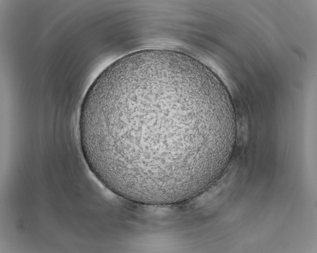 X0000111861103200908061330