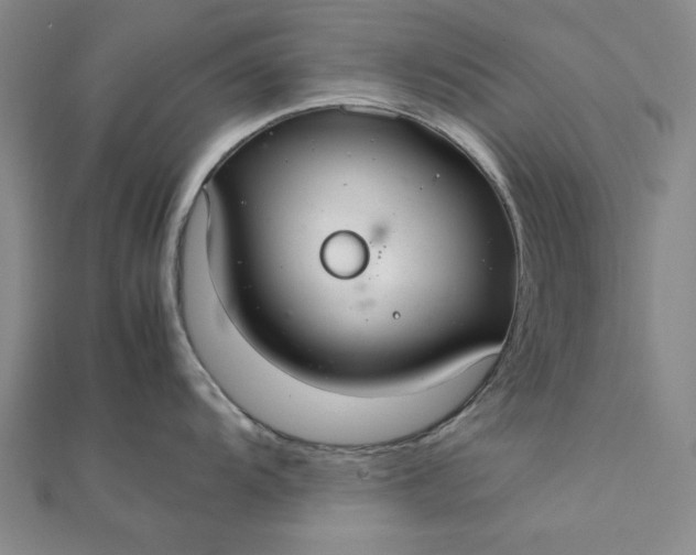 X0000111861104200908061330