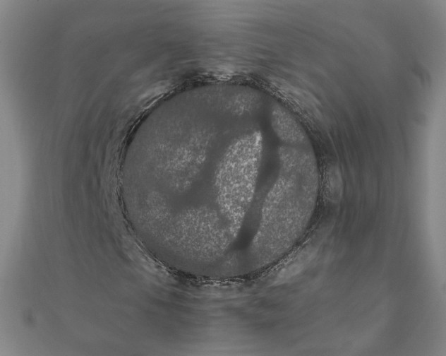 X0000111861105200908061330