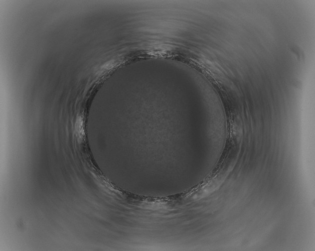 X0000111861106200908061330