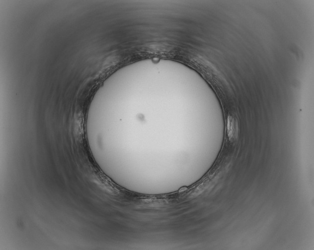 X0000111861107200908061330