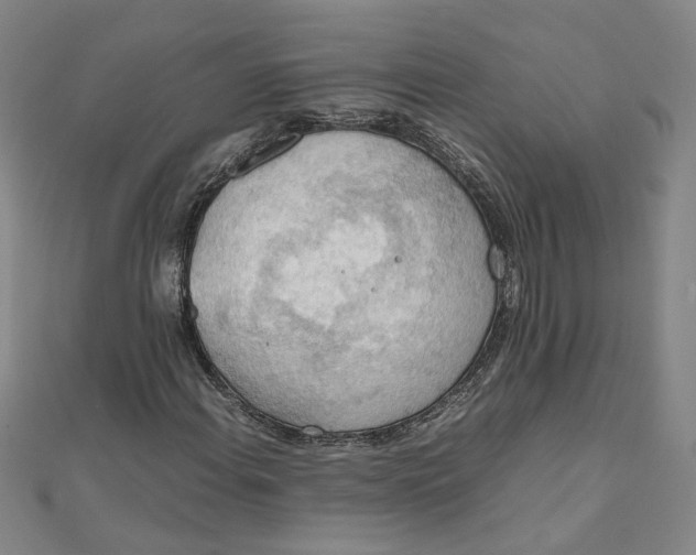 X0000111861108200908061330