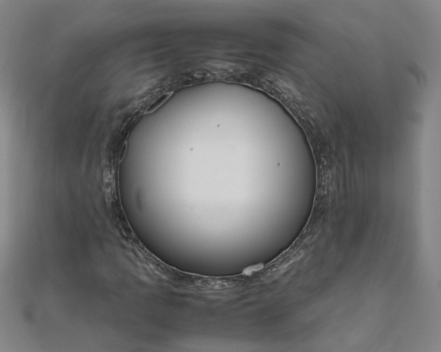 X0000111861109200908061330