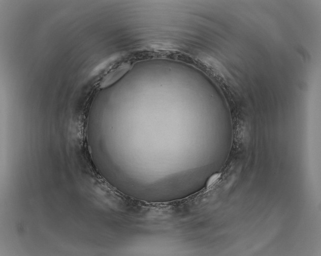 X0000111861110200908061330