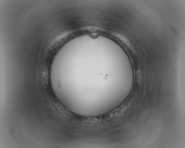 X0000111861111200908061330