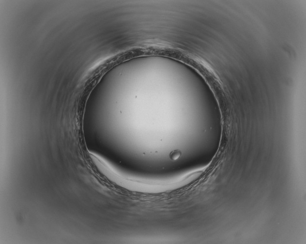 X0000111861112200908061330