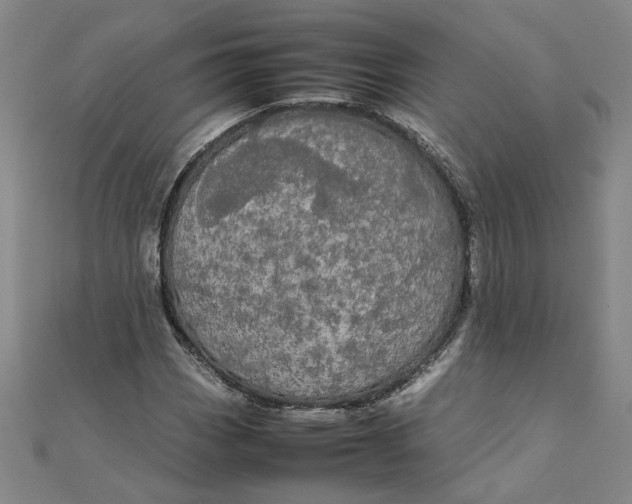 X0000111861113200908061330