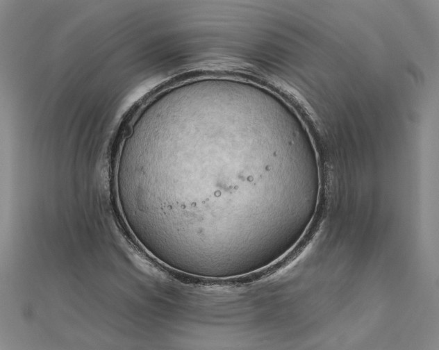 X0000111861114200908061330