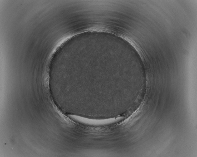 X0000111861115200908061330