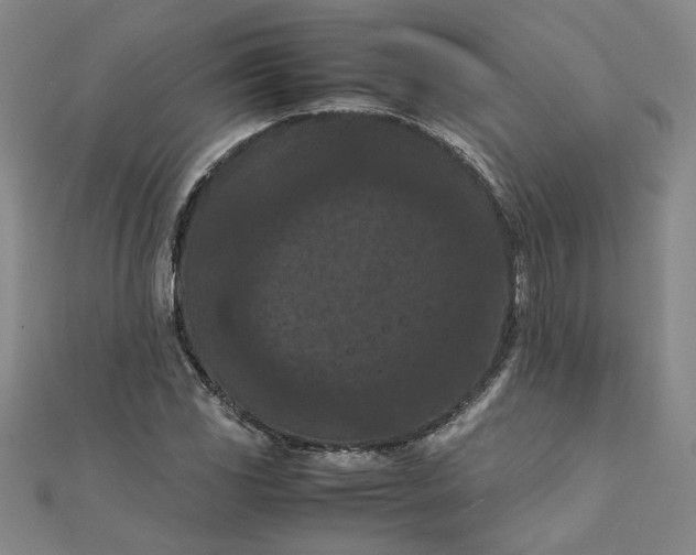 X0000111861117200908061330