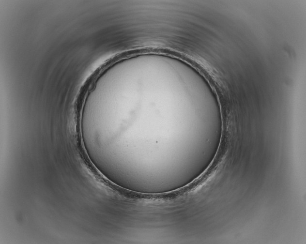 X0000111861118200908061330