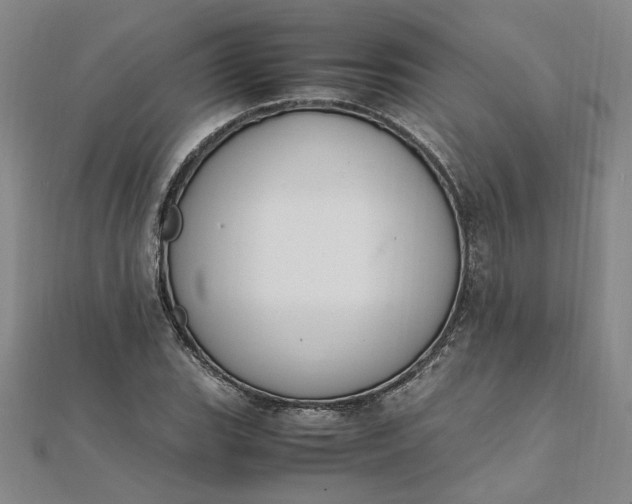 X0000111861119200908061330