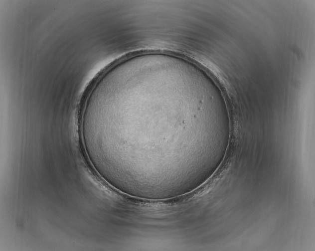 X0000111861120200908061330